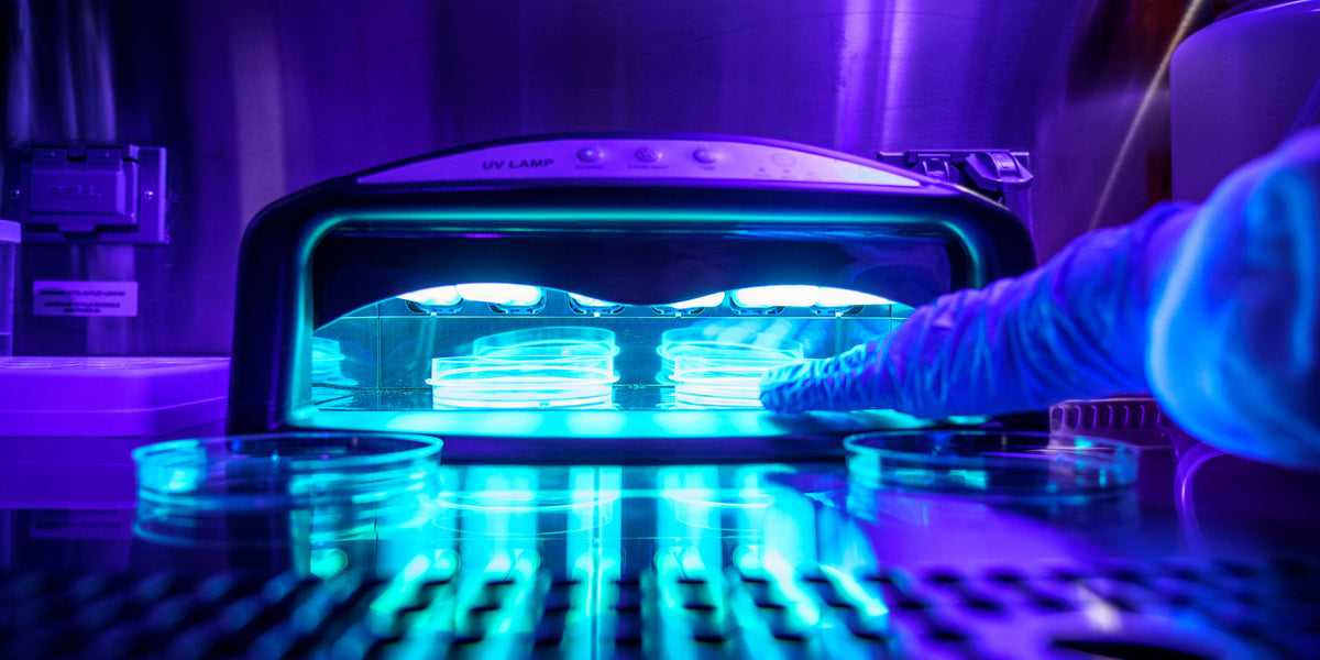 Are UV LED Lamps the Future for Water Disinfection? - Sensorex Liquid  Analysis Technology