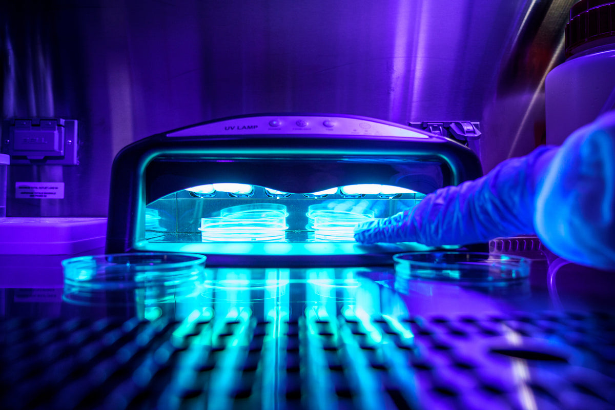 Our Chemists Analyze A Report From UCSD Study Regarding UV Nail Curing   In Cells Uv Emitting N 1200x800 