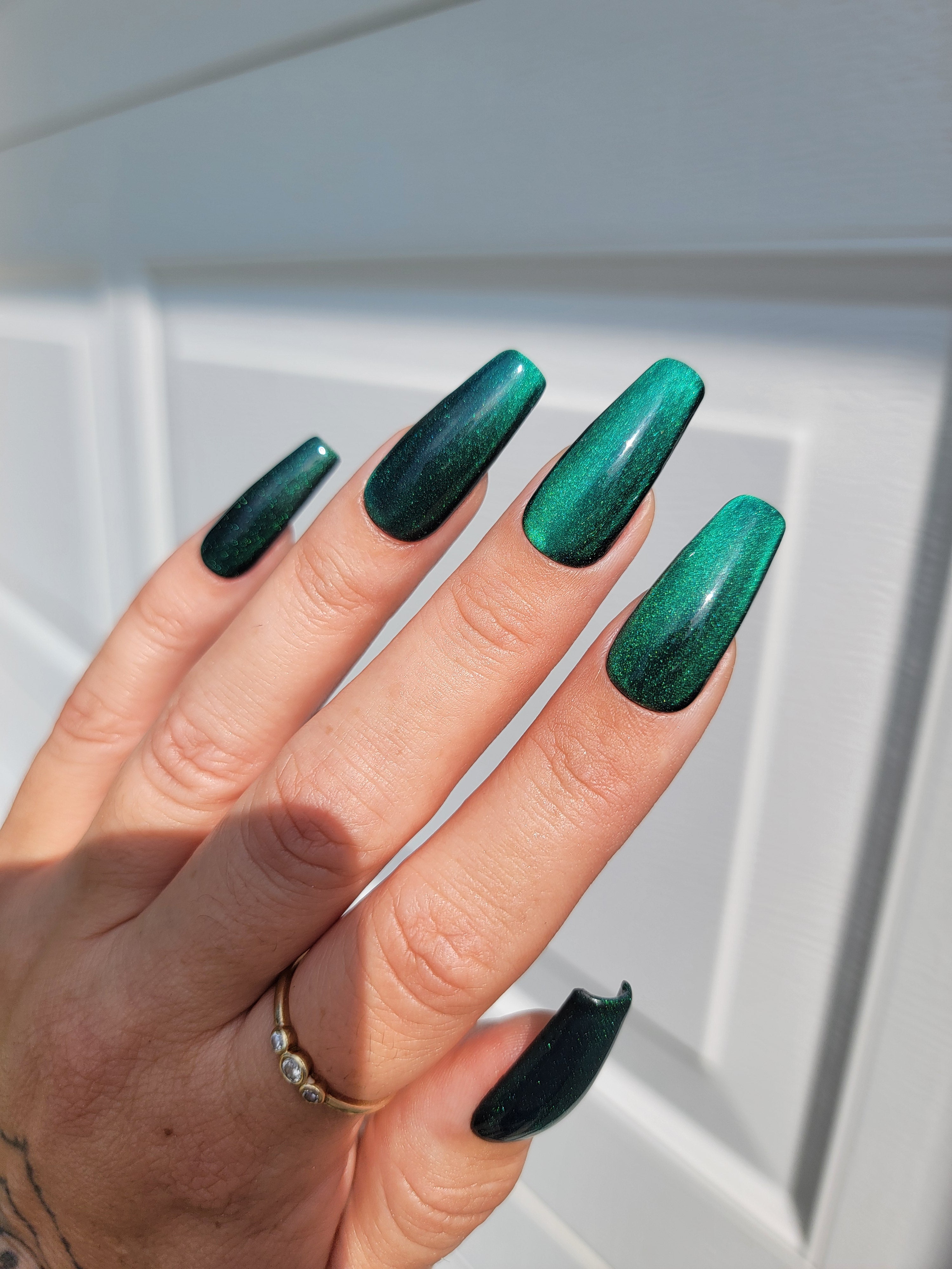 Cat Eye illusion Bundle with FREE Polish Pouch