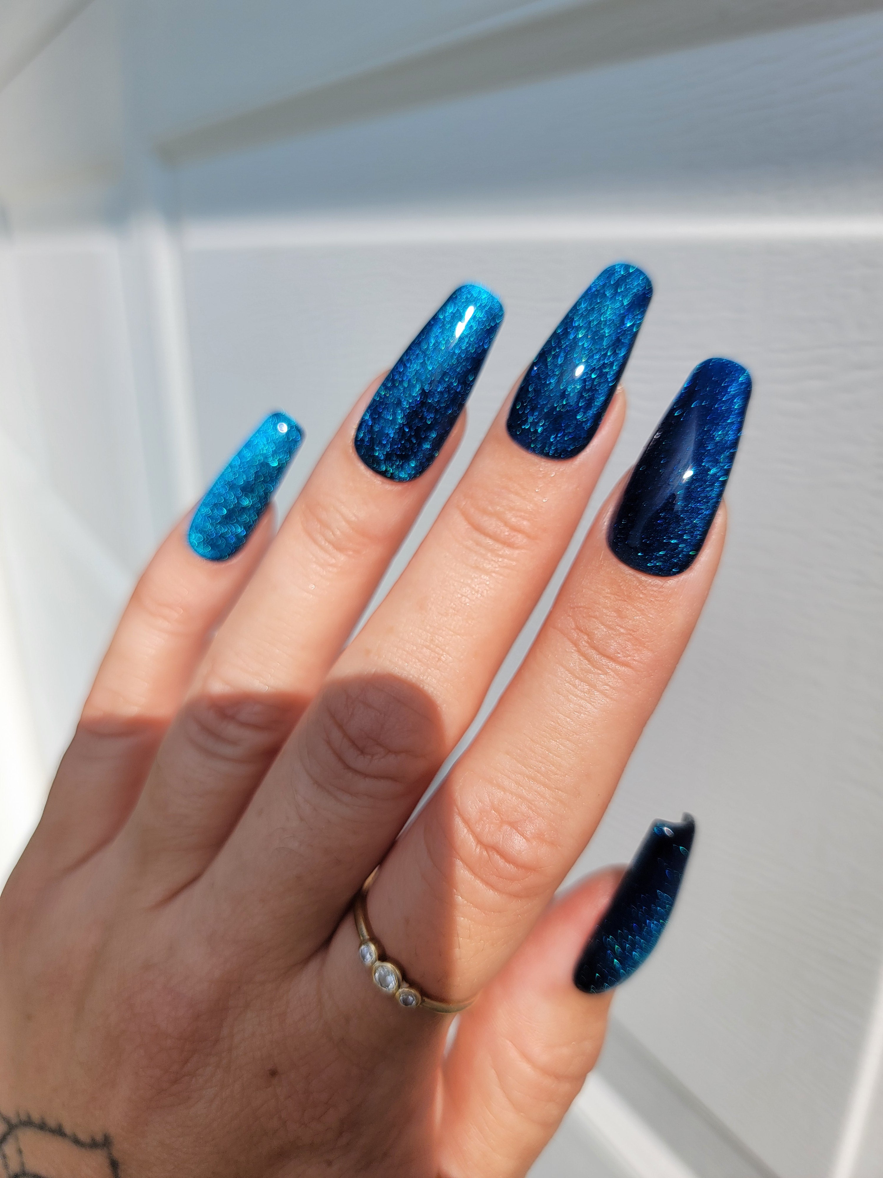 Cat Eye illusion Bundle with FREE Polish Pouch