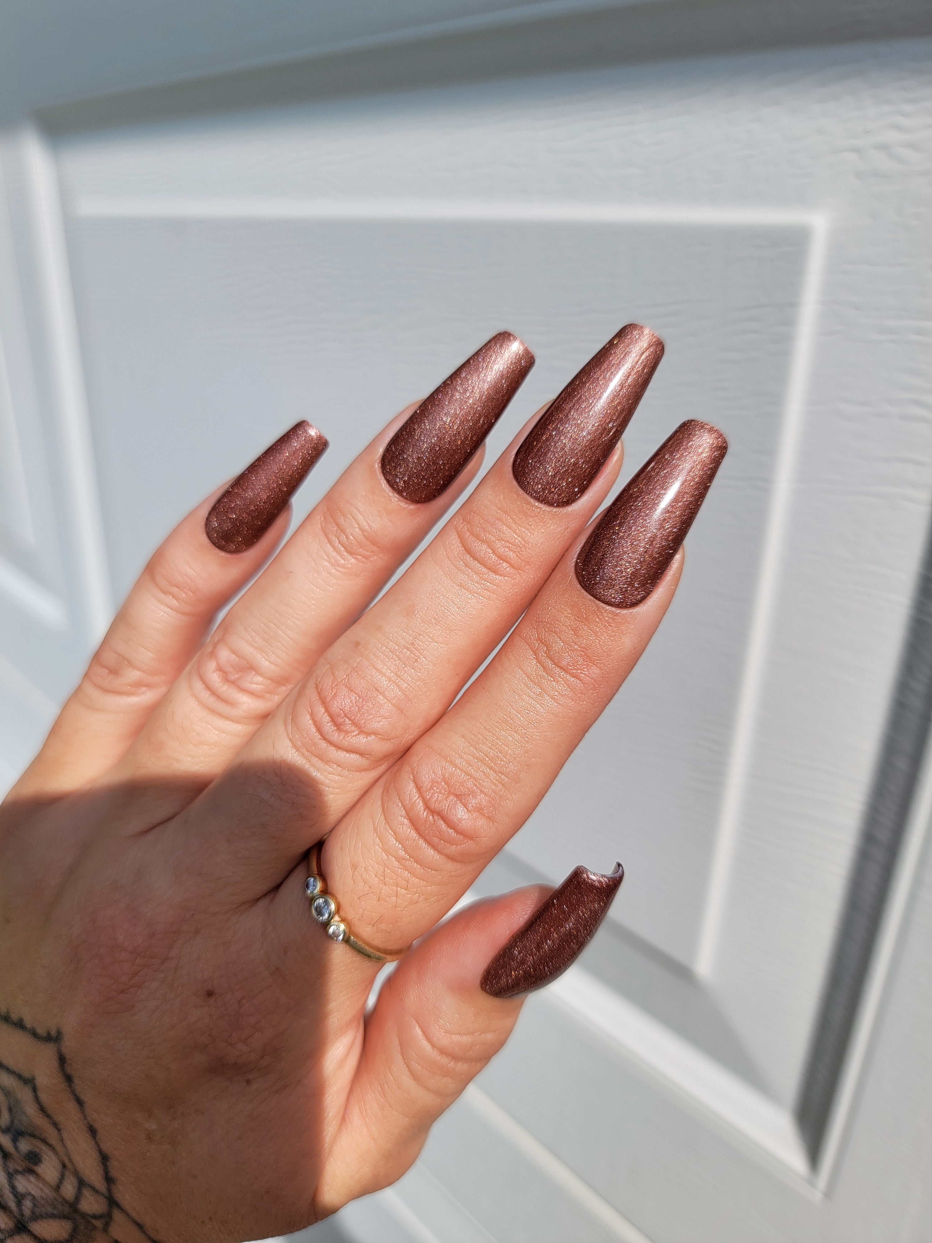 Cat Eye illusion Bundle with FREE Polish Pouch
