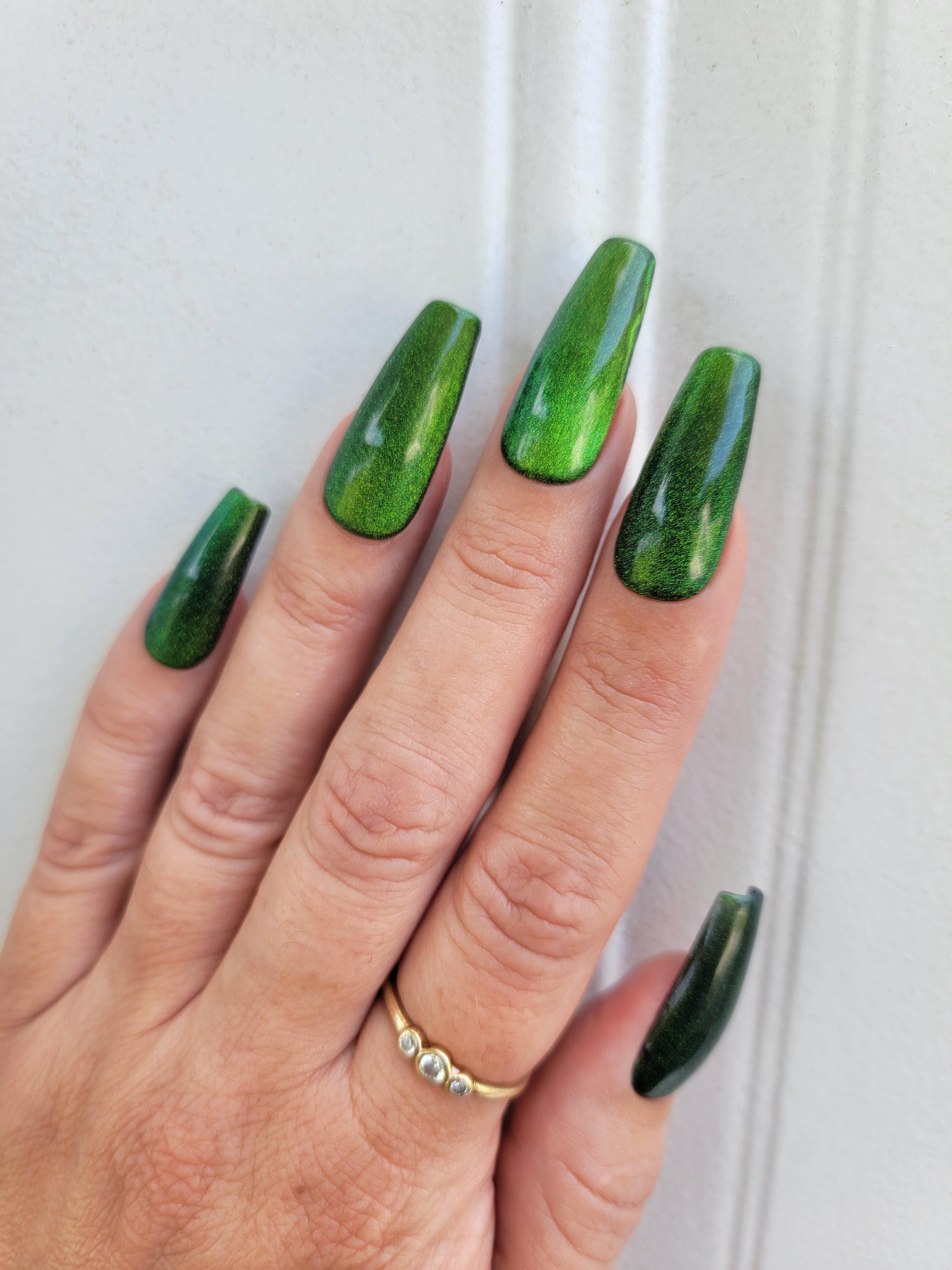 Cat Eye illusion Bundle with FREE Polish Pouch